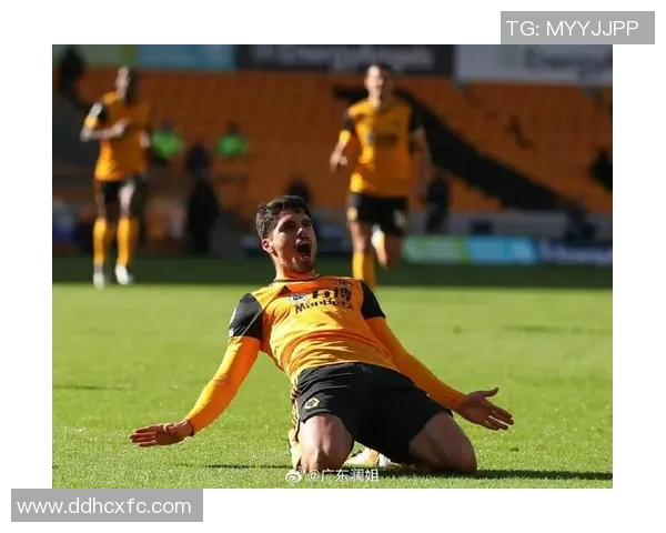 埃弗顿主场迎战狼队全力争胜期待精彩对决