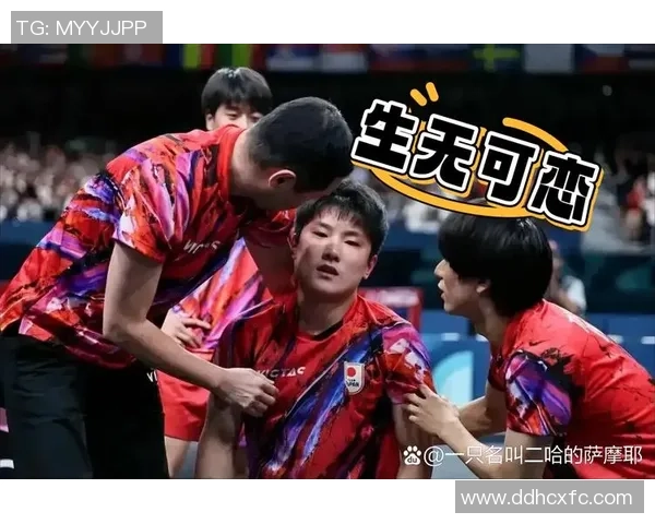 张本智和与波尔精彩对决全程录像回放分析与精彩瞬间集锦 张本智和与波尔精彩对决全程录像回放分析与精彩瞬间集锦